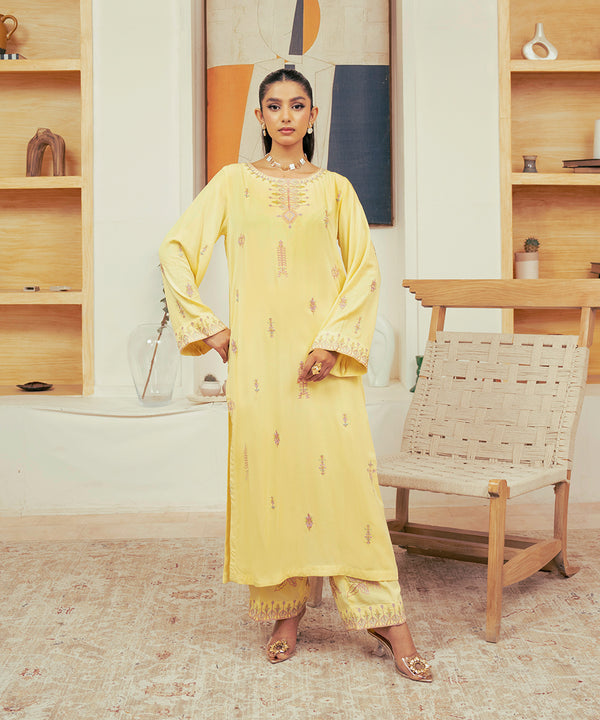 2PC - Embroidered Self Textured Suit