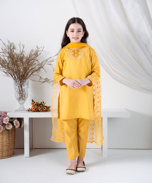 3PC - Embroidered Silk Lawn Suit