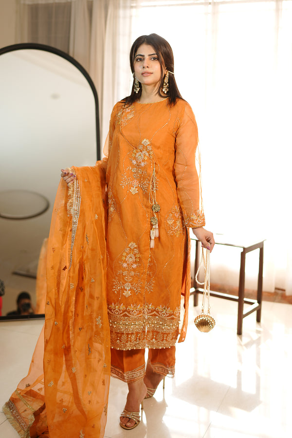 3PC - Embroidered Organza Suit