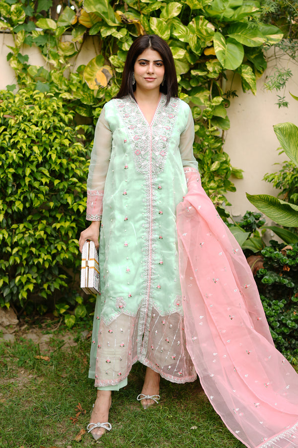 3PC - Embroidered Organza Suit