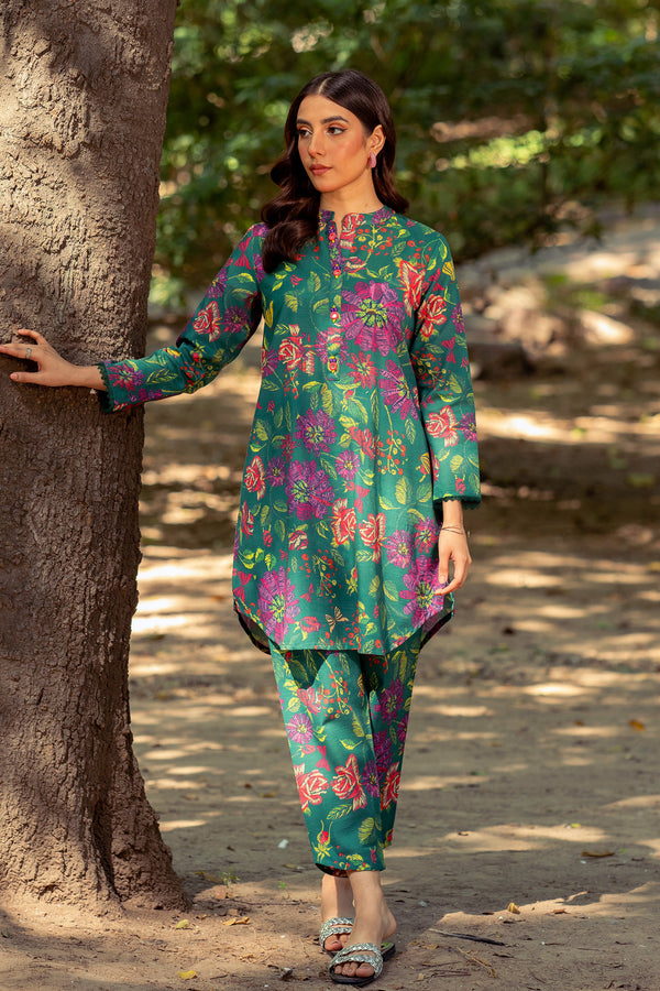 2 Piece - Printed Khaddar Suit