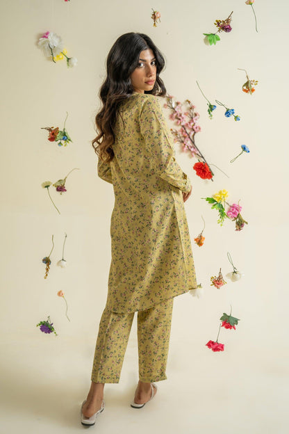 2 piece lawn suit