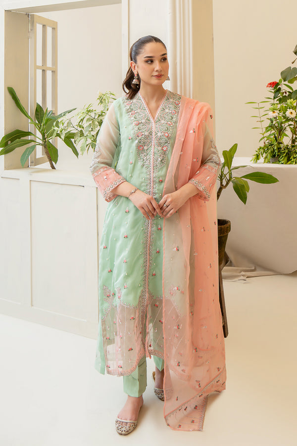 3PC - Embroidered Organza Suit