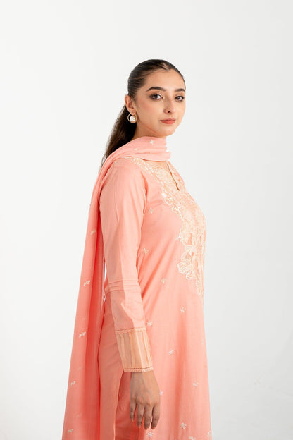 Nargis KE-00840 (3 PC) - Kross Kulture 